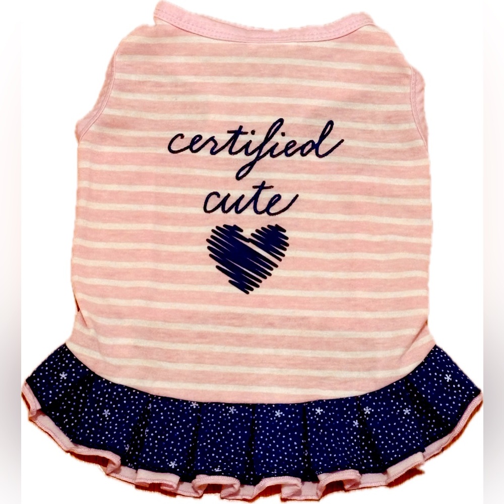 Ellen Degeneres "Certified Cute" Pink and Blue Dog Dress